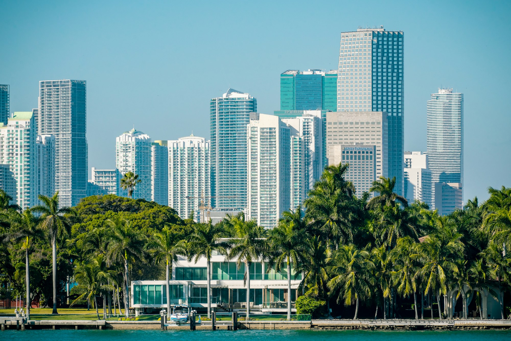 Brickell skyline towers behind palm trees on a clear Miami day