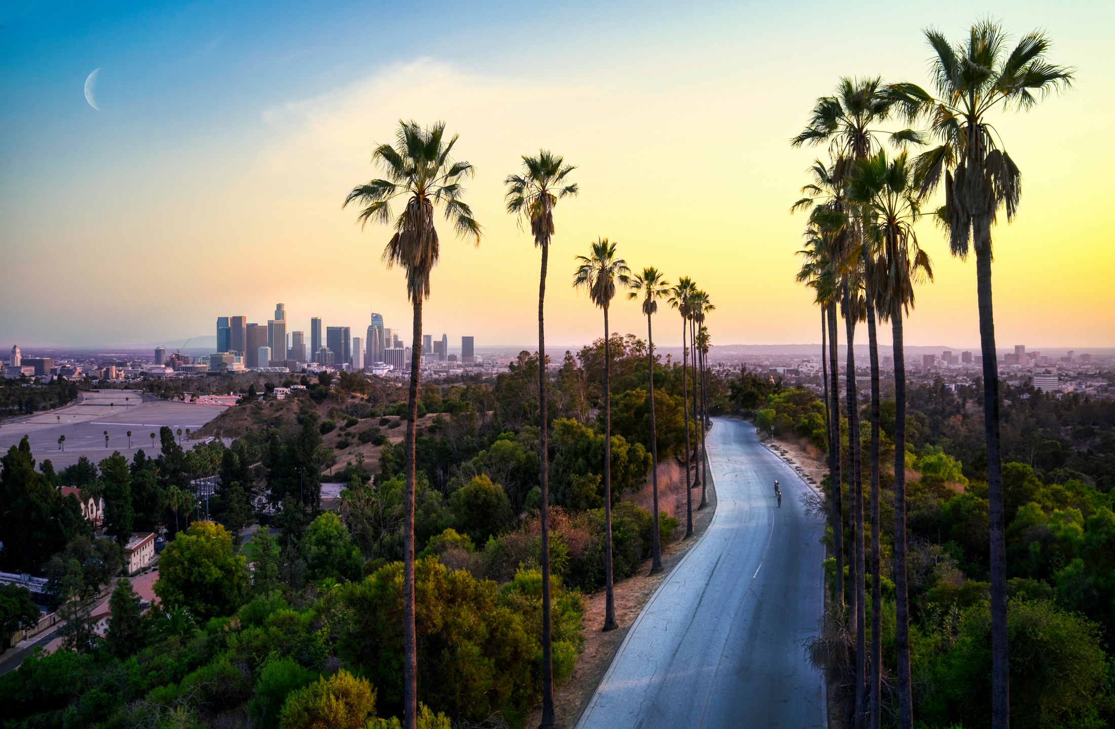 Palm-lined road leading toward the Los Angeles skyline at golden hour