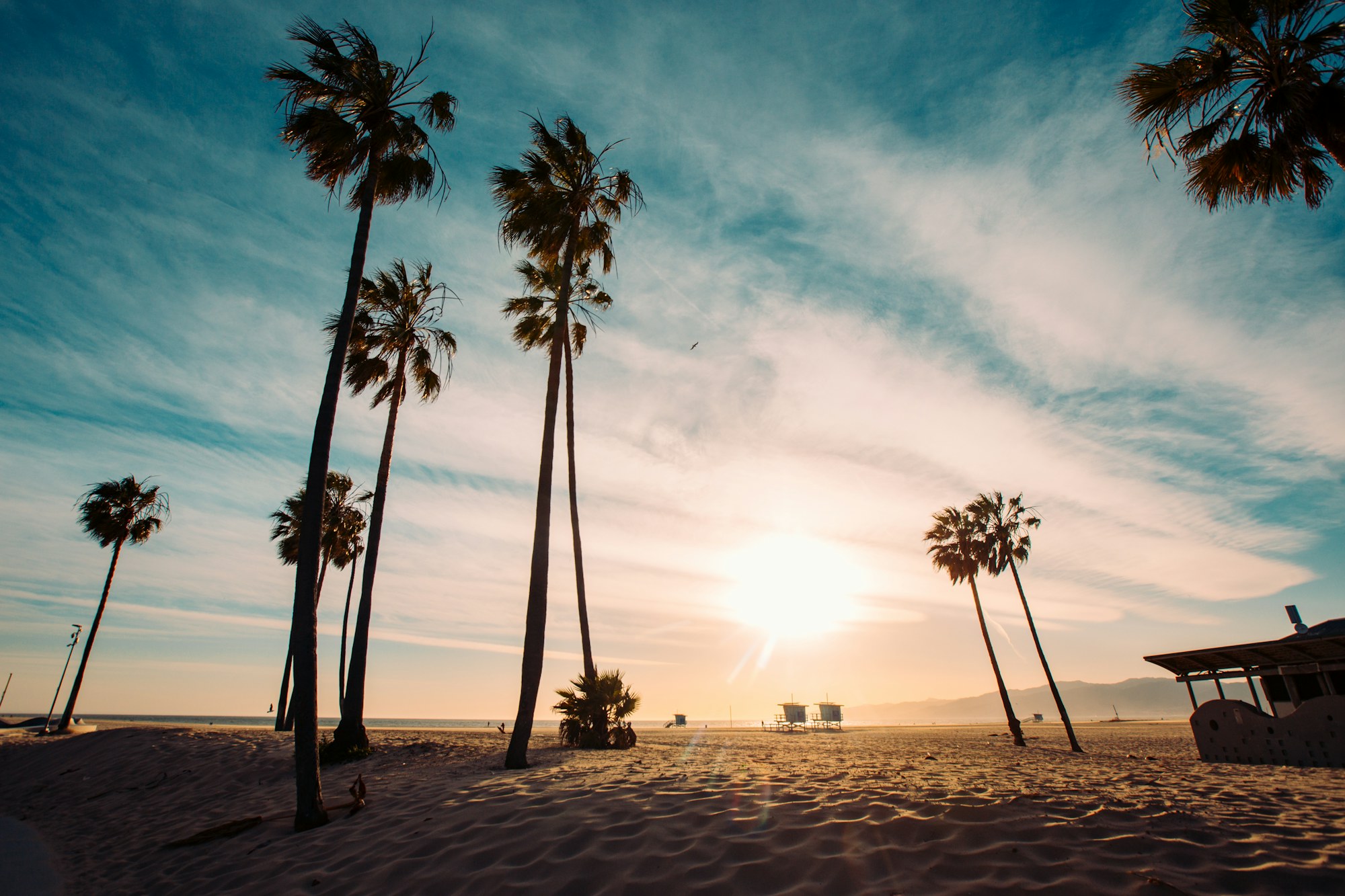 Venice Beach at sunset, palms silhouetted against the Pacific